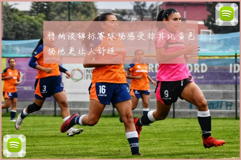 特纳谈锦标赛球场感受称其比黄色场地更让人舒适