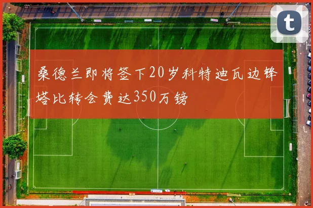 桑德兰即将签下20岁科特迪瓦边锋塔比转会费达350万镑