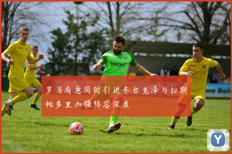 罗马有意同时引进齐尔克泽与拉斯帕多里加强阵容深度