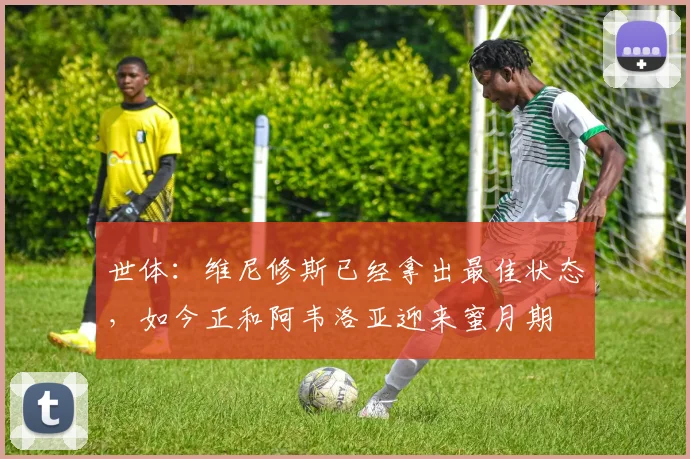 世体：维尼修斯已经拿出最佳状态，如今正和阿韦洛亚迎来蜜月期